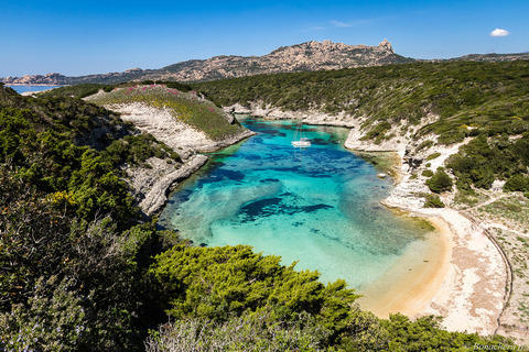 wakacje na Korsyce, wczasy na Korsyce, urlop na Korsyce, wakacje Korsyka, wczasy Korsyka, urlop Korsyka, korsyka wakacje, korsyka wczasy, korsyka wycieczki, korsyka all inclusive, korsyka last minute, korsyka z niemiec