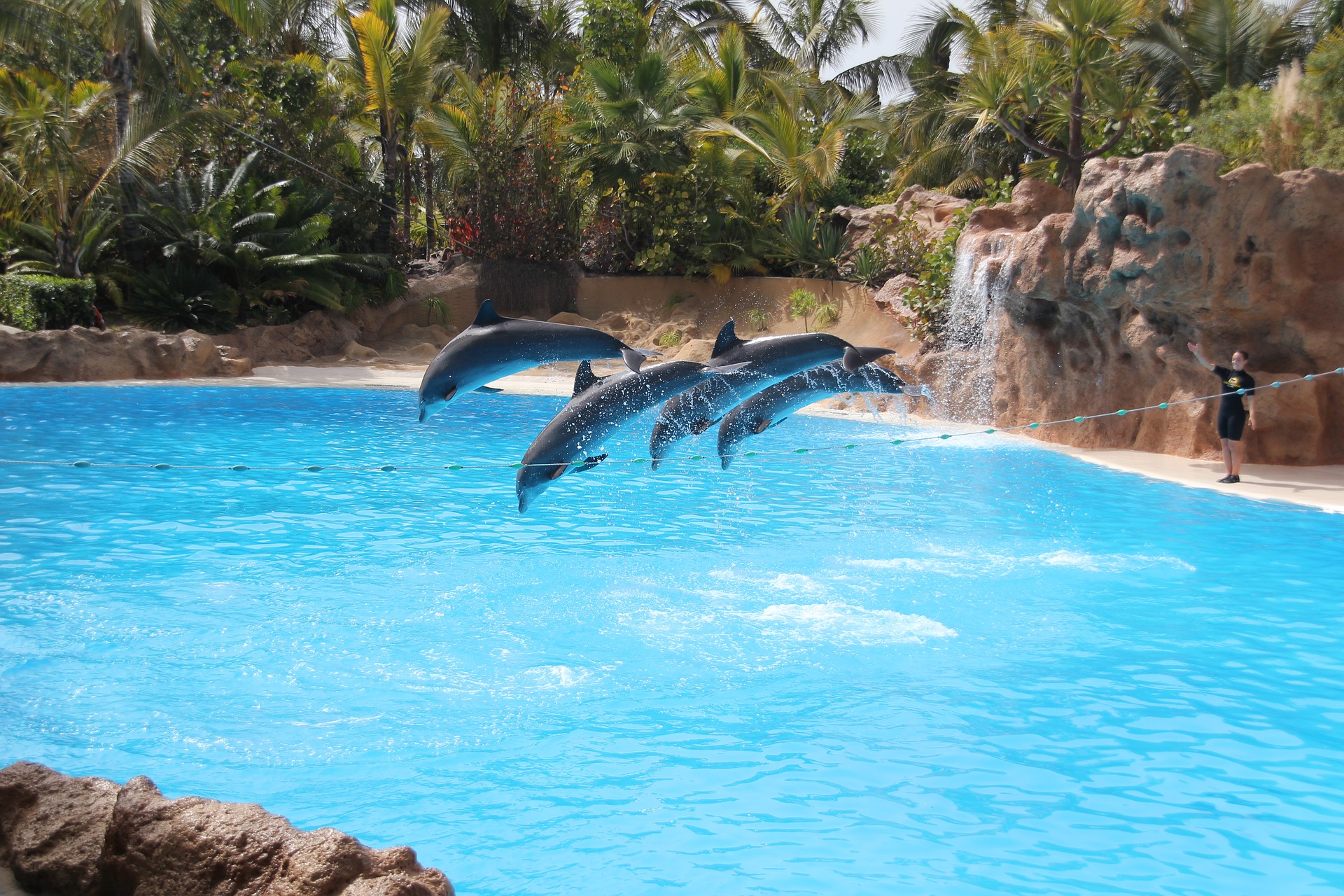 Loro Park na Teneryfie
